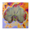 Suche nach orchideen fliesen Elegant