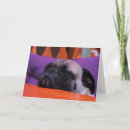 Suche nach pugs stuff karten Puppy