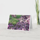 Suche nach lila stiefmütterchen karten Natur