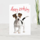 Suche nach jack russell karten Welpe