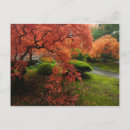 Suche nach japanese postkarten Herbst