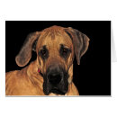 Suche nach doggen postkarten Welpe