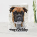 Suche nach boxerwelpen Geburtstag