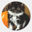 Suche nach vintage katze aufkleber Halloween