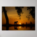 Suche nach südwesten poster Sonnenaufgang