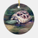 Suche nach schildkröte ornamente wild lebende tiere