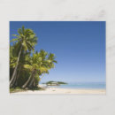 Suche nach cook islands postkarten Palme