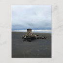 Suche nach driftwood poster Landschaft