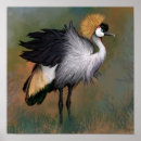 Suche nach bird poster Kran