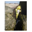 Suche nach auf dem strand kleine notizbücher Für kinder