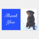 Suche nach labrador retriever aufkleber Welpe