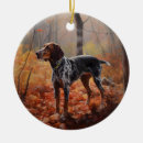 Suche nach die coonhounds ornamente Haustier