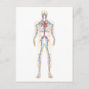 Suche nach zirkulation postkarten Digital generiertes bild