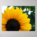 Suche nach garten mit sonnenblumen poster Landschaft