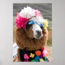 Suche nach alpaka poster Tier