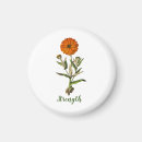 Suche nach marigold magnete Marigil
