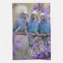 Suche nach wellensittiche Vogel