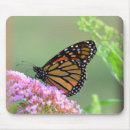 Suche nach monarch mousepads Foto