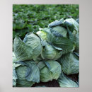 Suche nach kohle poster Natur