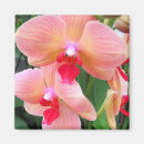 Suche nach rosa orchidee magnete Schön