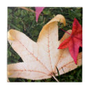 Suche nach ahorn fliesen Blatt