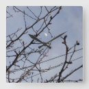 Suche nach halbmonde wanduhren Natur