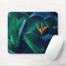 Suche nach paradiesvögel mousepads Natur