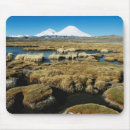 Suche nach vulkan mousepads Chile