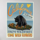 Suche nach kalifornien liebe poster California