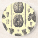 Suche nach anatomisch untersetzer Retro