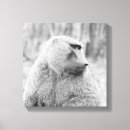 Suche nach afrikanische tiere leinwandbilder Natur