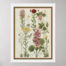 Suche nach jan poster Vintag