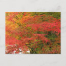 Suche nach freier fall poster Baum