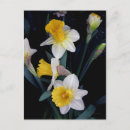 Suche nach kunstkarte postkarten Blume