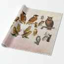 Suche nach vintage vögel geschenkpapier Collage