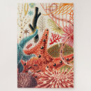 Suche nach great barrier reef puzzle Ozean