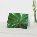 Suche nach palme karten Anmerkung
