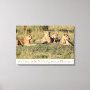 Suche nach löwe leinwandbilder Spaß