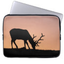 Suche nach mountain laptop schutzhüllen Geweihe