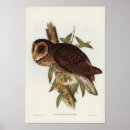 Suche nach vintage kolibris poster Vogel