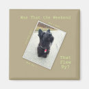 Suche nach x tassen Hund