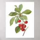 Suche nach obstgarten poster Bäume