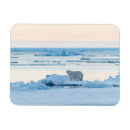 Suche nach norwegen magnete Winter