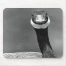 Suche nach gans mousepads Natur