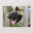 Suche nach gerahmtes postkarten Niedlich