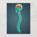 Suche nach rückenmark poster Nah up