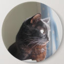 Suche nach profil buttons Groß