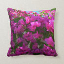 Suche nach stachelig kissen Blume