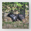 Suche nach bear kunst Schwarzbär