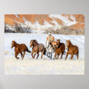 Suche nach wrangler poster Pferd